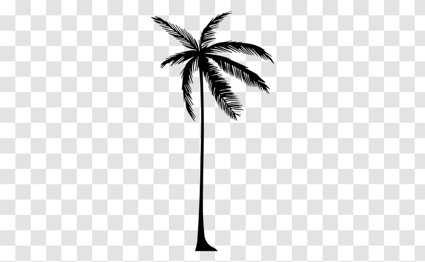 Arecaceae Tree Drawing Silhouette - Flowering Plant - Tall Vector Transparent PNG