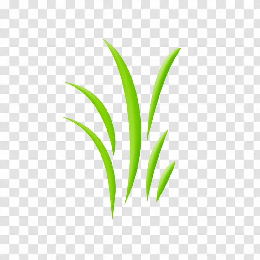 Leaf Plant Stem Line Grasses - Tree - Elements Of A Narrative Story Transparent PNG