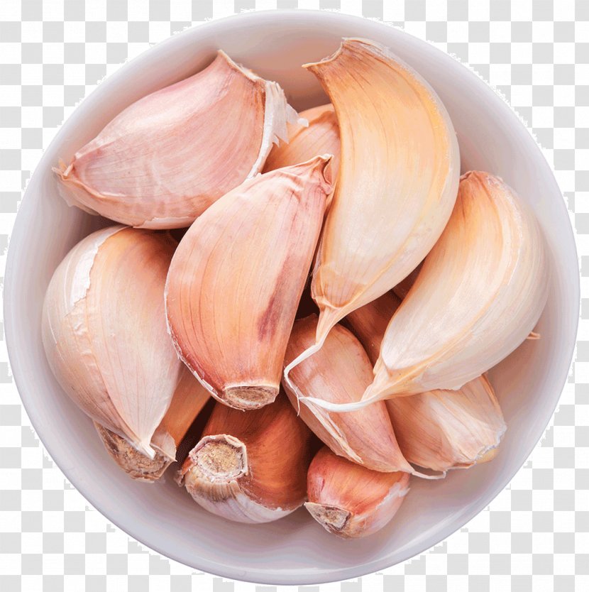Garlic Spice Condiment Herb Seasoning Transparent PNG