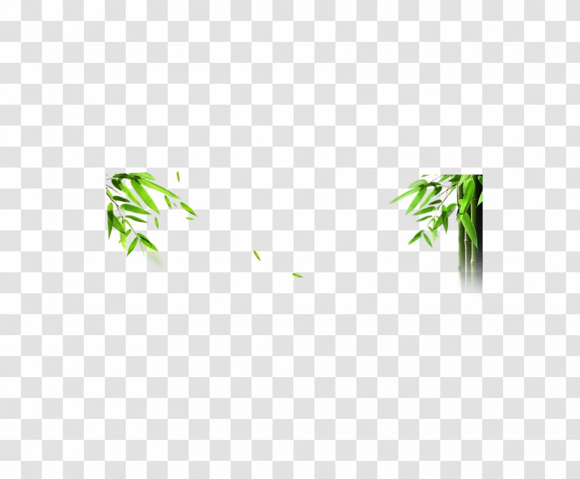 Green Leaf Area Pattern - Bamboo Transparent PNG