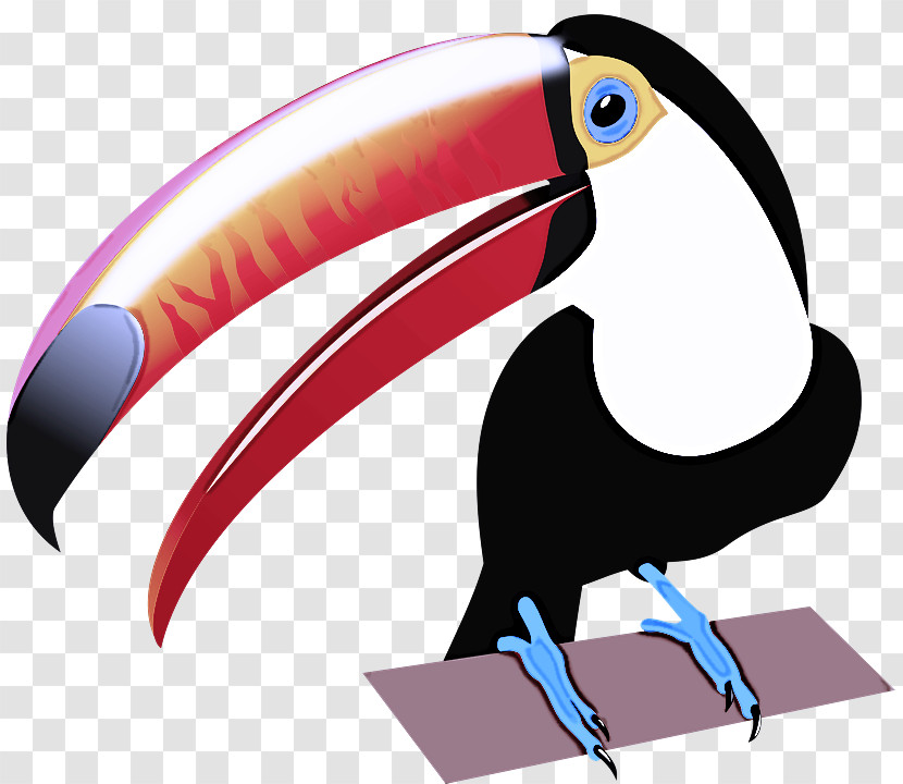 Toucans Piciformes Beak Science Biology Transparent PNG
