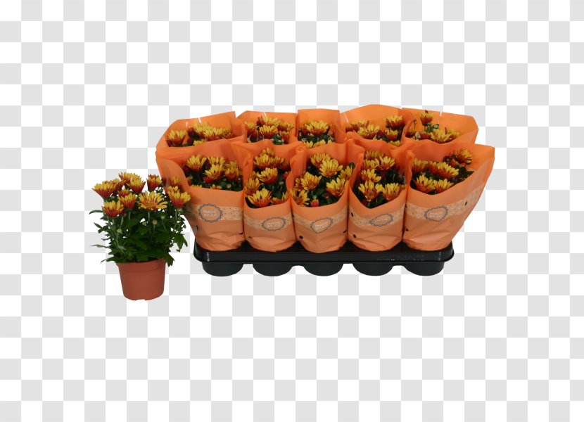 Chrysanthemum ×grandiflorum Plant Hyacinth Sweet Alyssum Orange - Food Transparent PNG