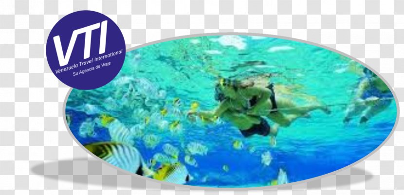 Tulamben Sharm El Sheikh Snorkeling Scuba Diving USAT Liberty - Usat - Full Moon Day Of Thadingyut Transparent PNG