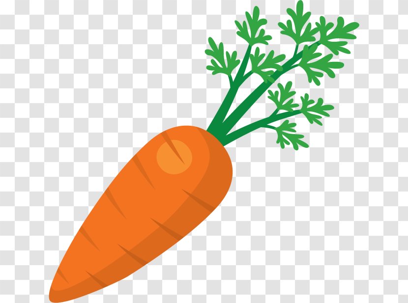 Juice Fruit Salad Carrot Clip Art - Fish - Carrots Transparent PNG