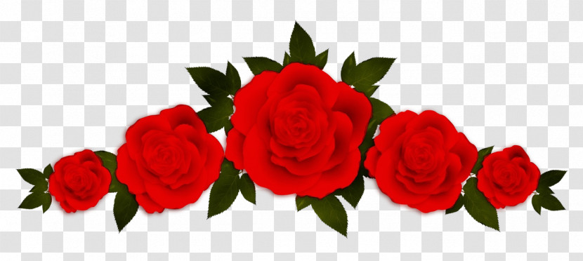 Garden Roses Transparent PNG