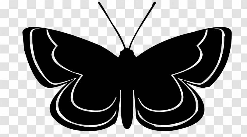 Butterfly Visual Arts Silhouette Clip Art - Insect - Cliparts Transparent PNG
