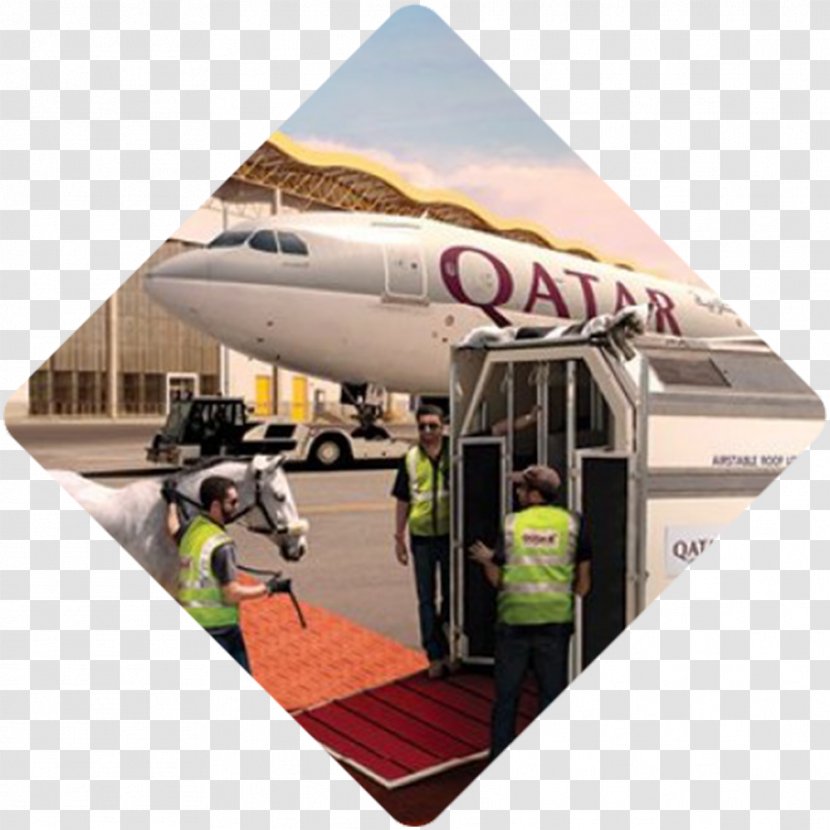 Doha Cargo Airline Transport Air - Freight Forwarding Agency - Harsh Environment Transparent PNG