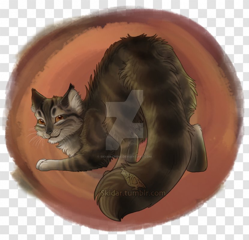 Whiskers Kitten Domestic Short-haired Cat Tabby - Organism Transparent PNG