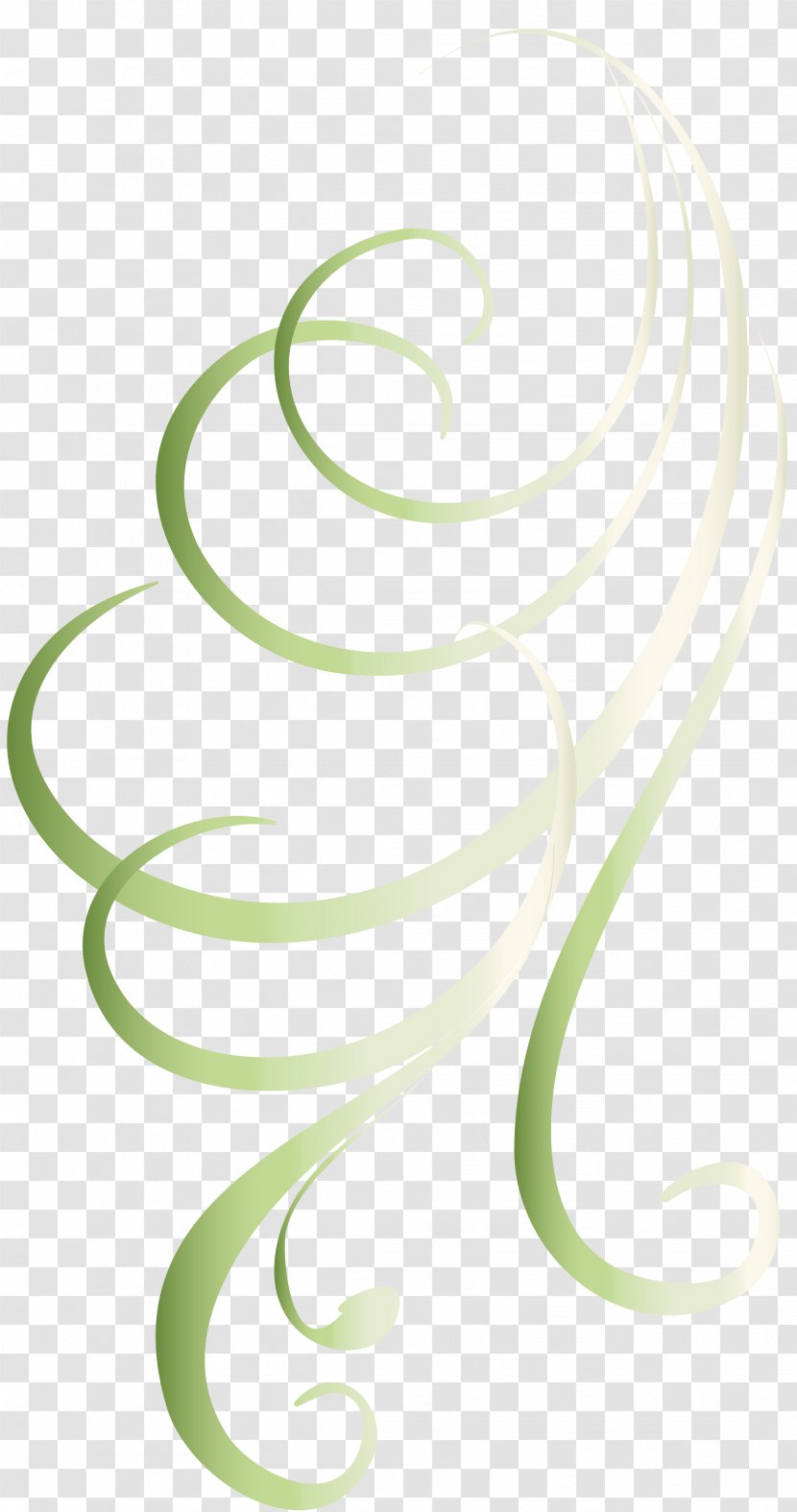 Circle Line - Green - Design Elements Transparent PNG