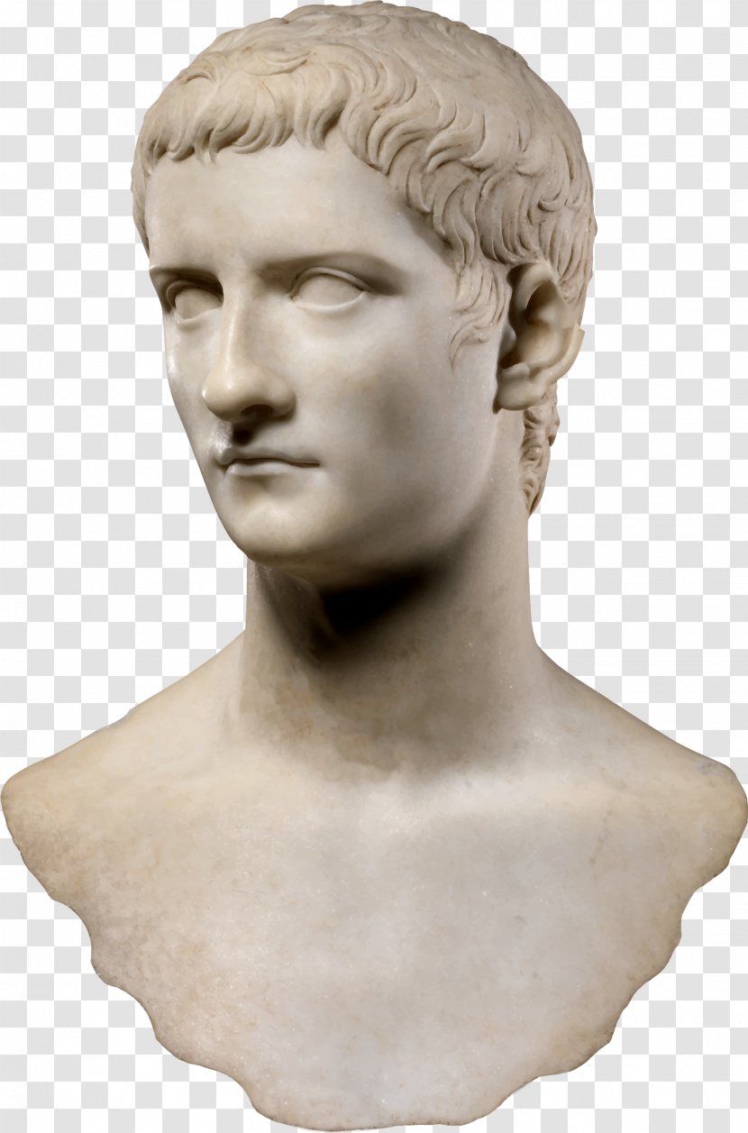 Caligula Roman Empire Emperor Image Incitatus - Head - Bust Transparent PNG