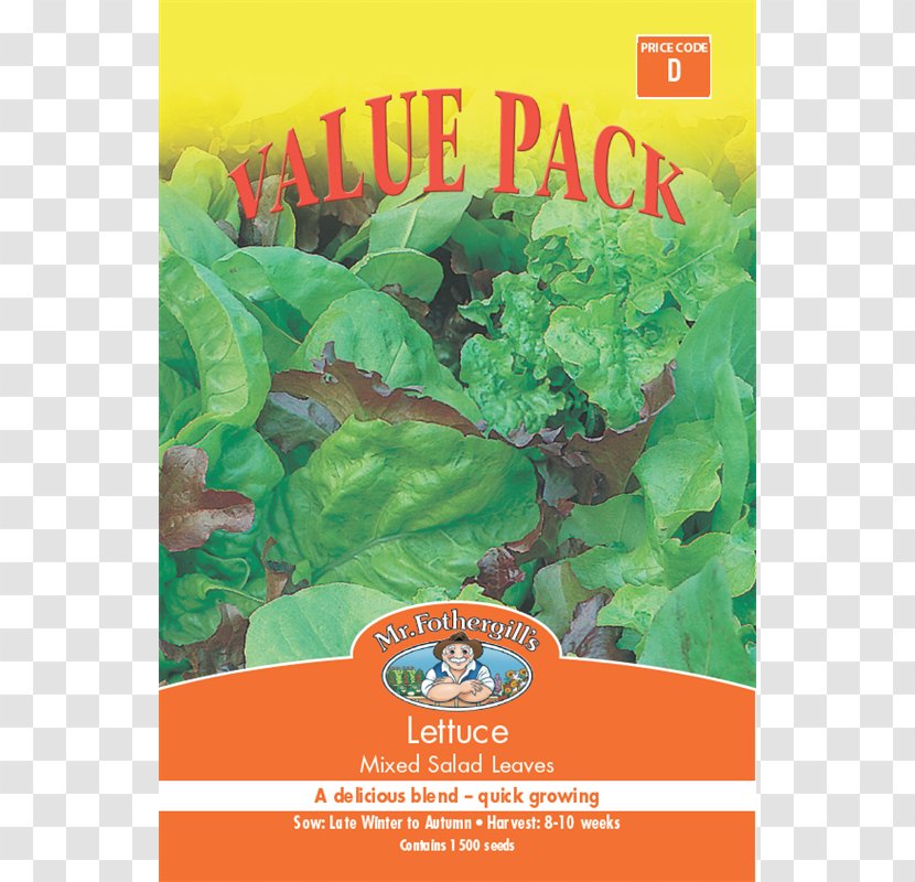 Misticanza Herb Leaf Vegetable Seed - Victoria Cross - Lettuce Watercolor Transparent PNG