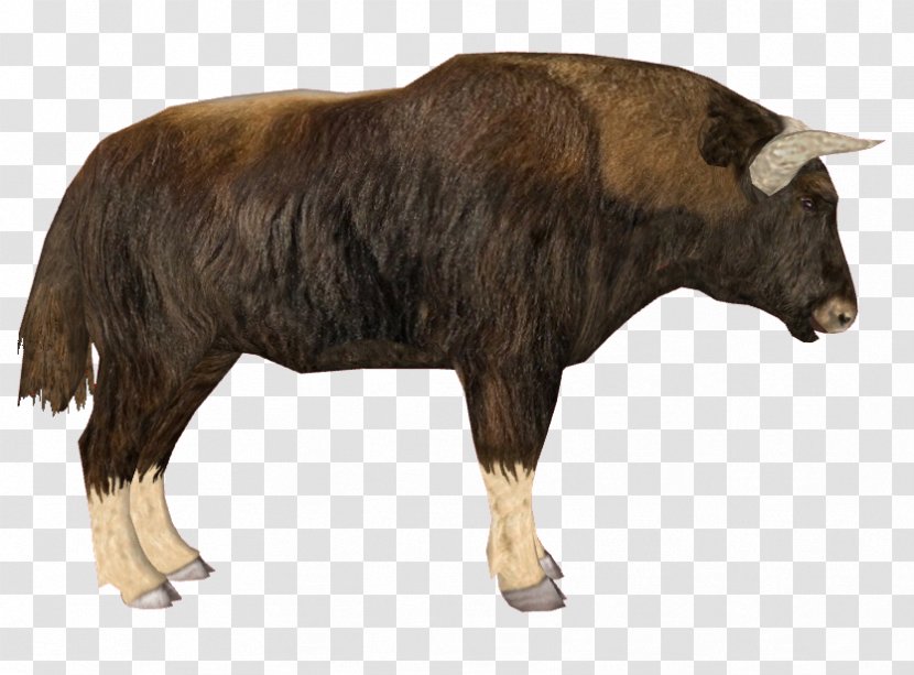 Domestic Yak Zoo Tycoon 2 Cattle Muskox - Bison Transparent PNG