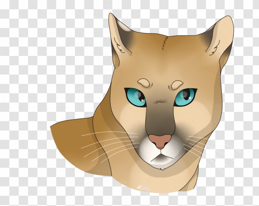 Whiskers Red Fox Cat Snout - Mammal Transparent PNG