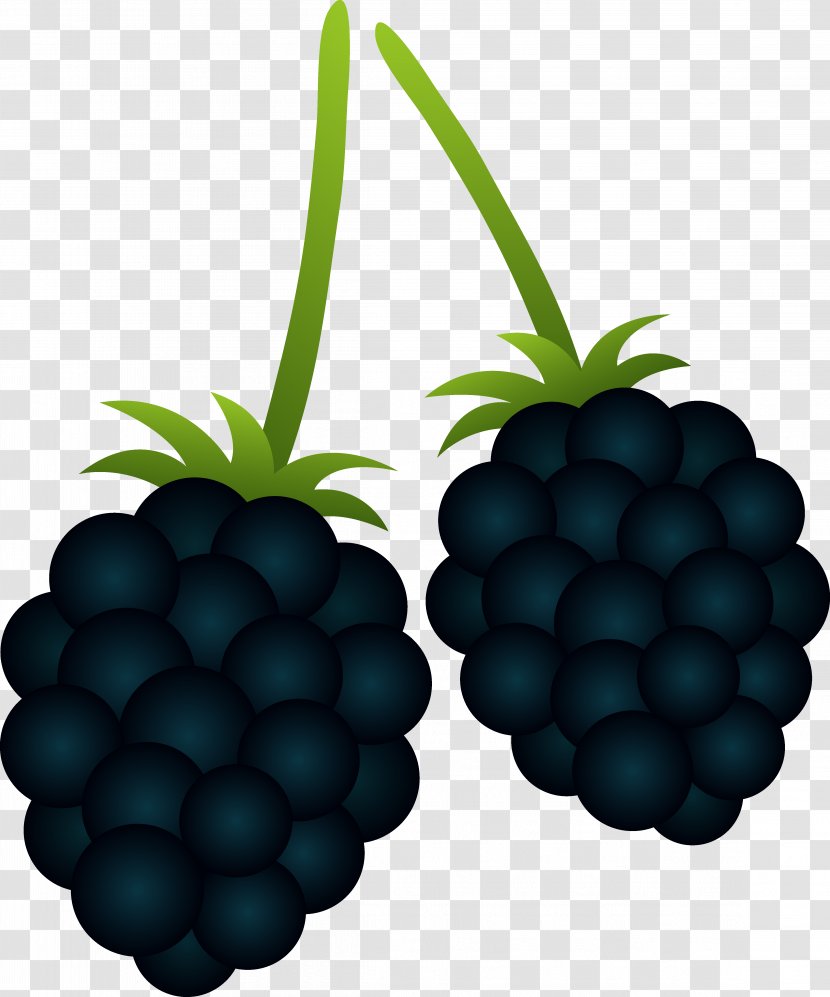 BlackBerry Priv Passport Clip Art - Superfood - Blackberry Cliparts Transparent PNG