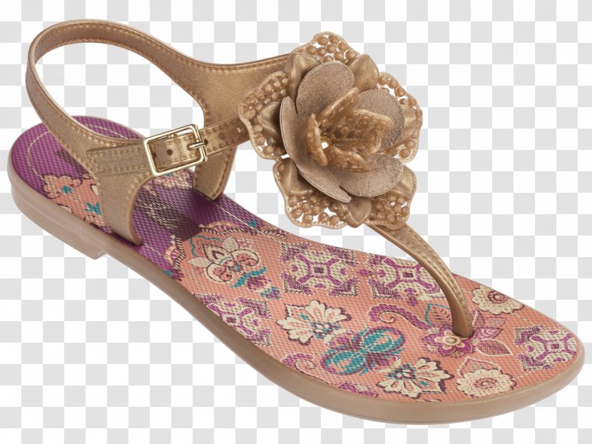 Sandal Shoe Footwear Grendene Talla - Purple Transparent PNG