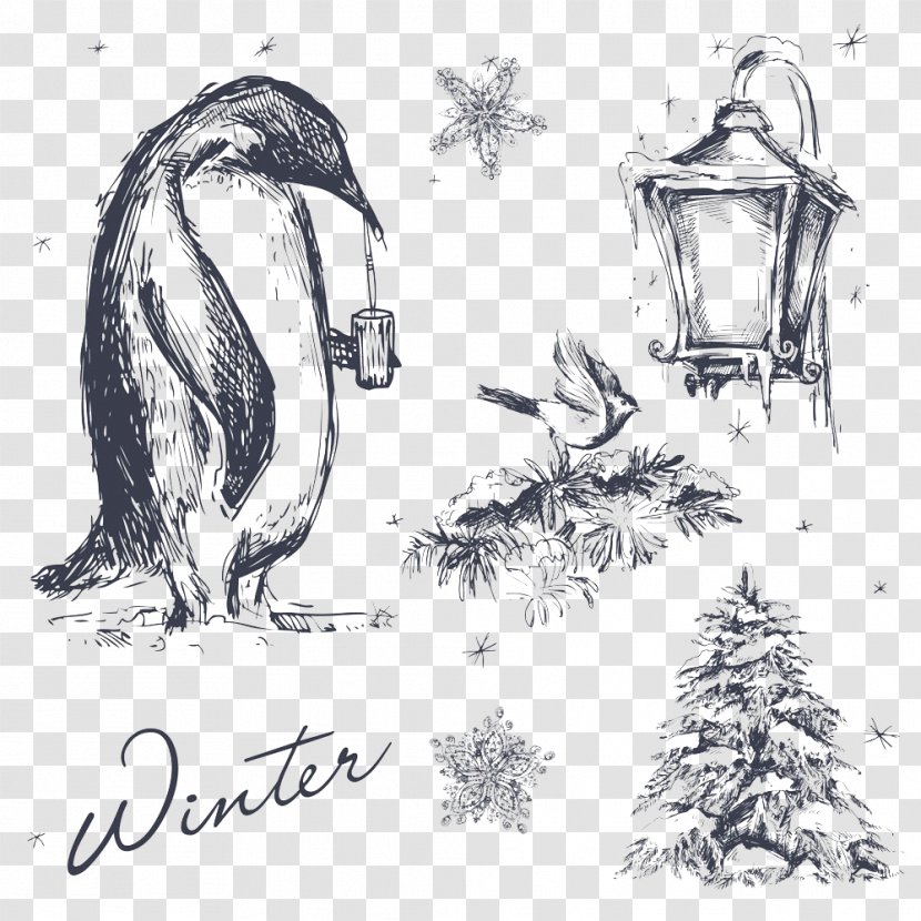 Penguin Visual Arts Illustration - Drawing - Vector Transparent PNG