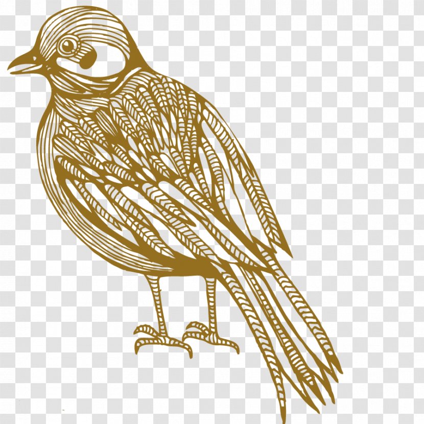 Bird Cartoon Photography Illustration - Vector Flying Transparent PNG