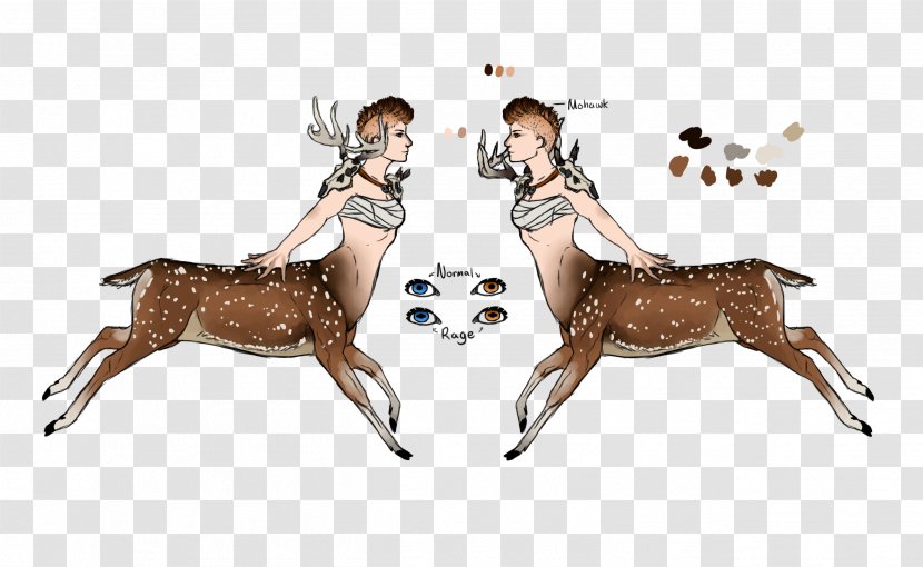 Reindeer Horse Mammal Animal Wildlife Transparent PNG