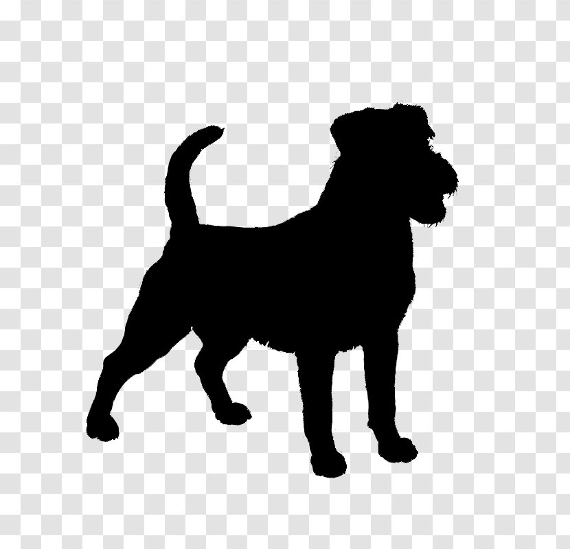 Dog Silhouette - Companion - Norfolk Terrier Transparent PNG