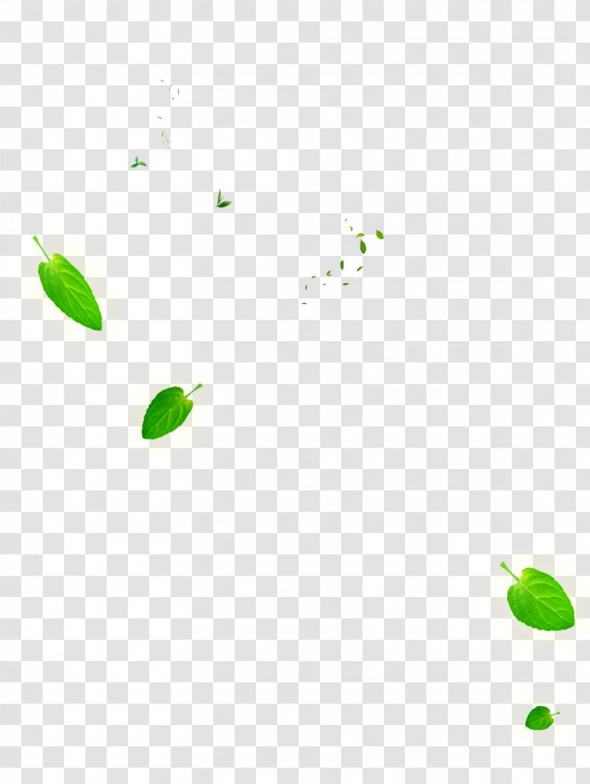 Leaf Green Euclidean Vector - Falling Leaves Transparent PNG
