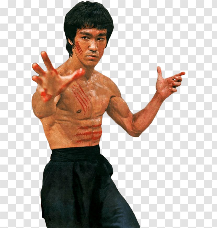 Bruce Lee: Return Of The Legend Lee - Film Director - Fighter Quest DragonBruce Transparent PNG
