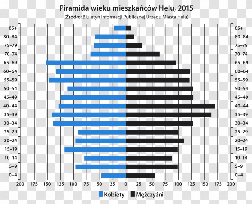 Gmina Hel Peninsula Population Pyramid Demography - Silhouette - Hel[ Transparent PNG