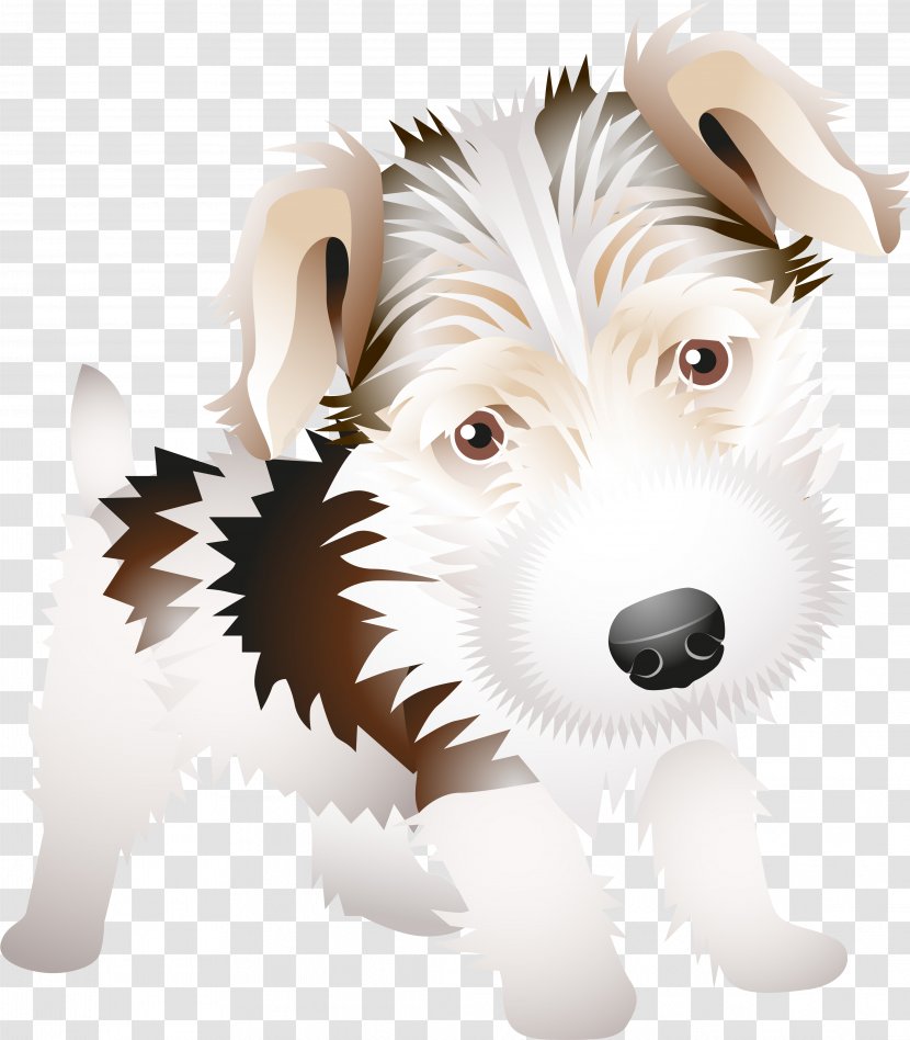 West Highland White Terrier Wire Hair Fox Scottish Puppy Dog Breed - Tail Transparent PNG