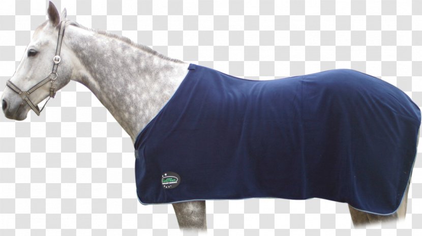 Horse Tack Rein Halter Blanket - Outerwear - Powder Sequins Transparent PNG