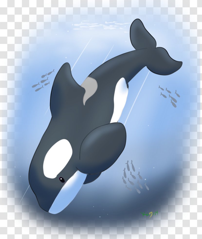 Dolphin Killer Whale Marine Biology Technology Transparent PNG