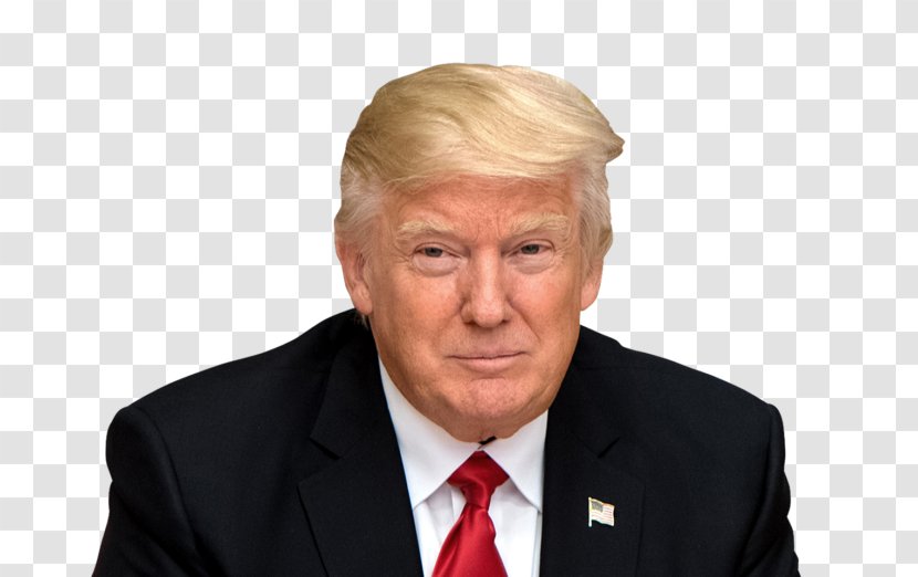 Donald Trump United States Of America President The Wig Costume - Polling Percentage Error Transparent PNG