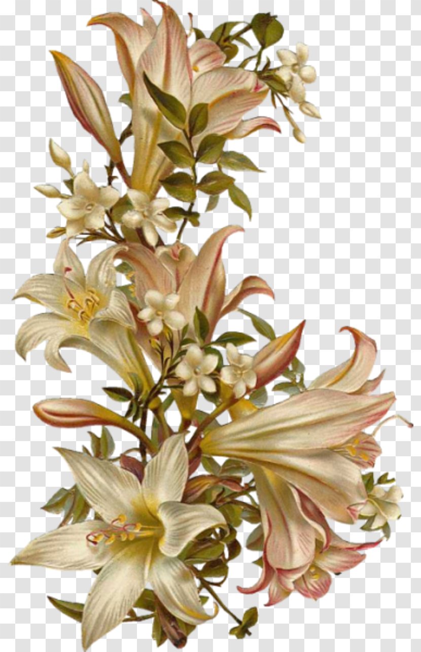 Flower Clip Art - Flowering Plant - Victory Scatters Flowers Transparent PNG