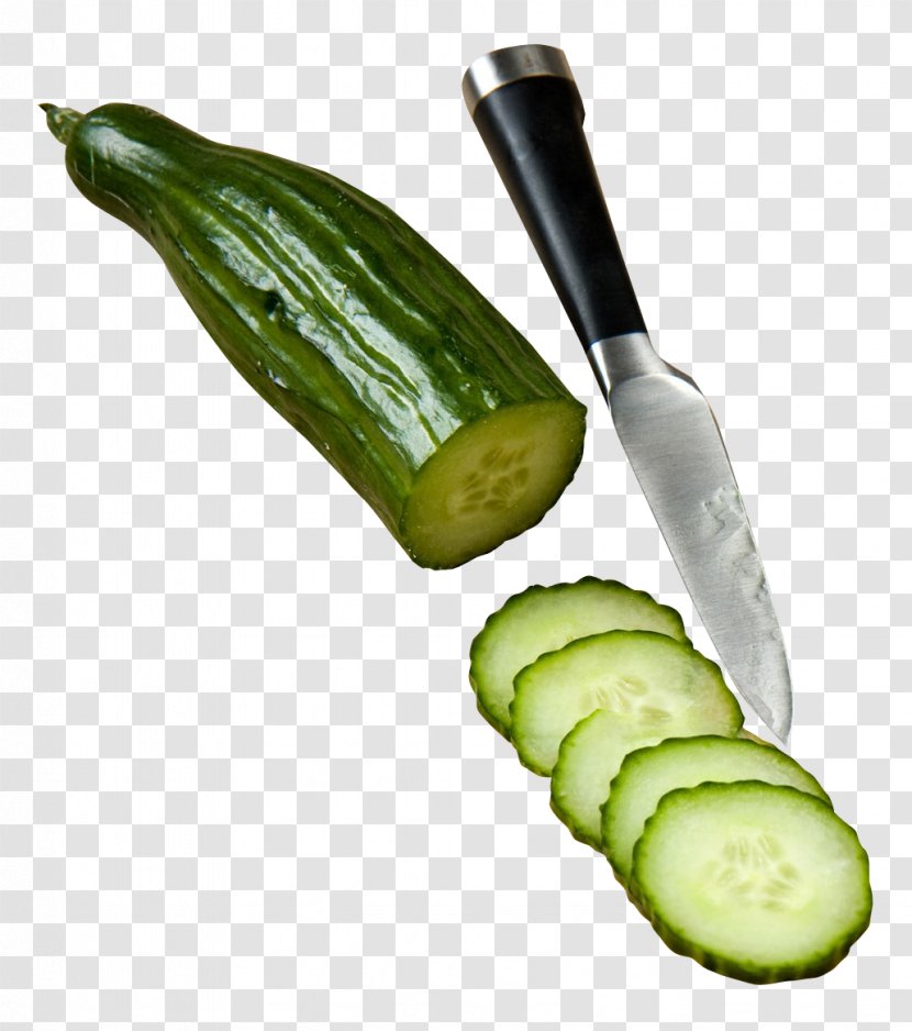 Cucumber Vegetarian Cuisine Ingredient - Vegetable - Slices Transparent PNG