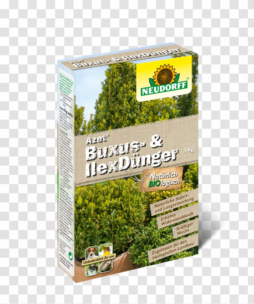 Fertilisers Buxus Sempervirens Common Holly Japanese NPK Rating Transparent PNG