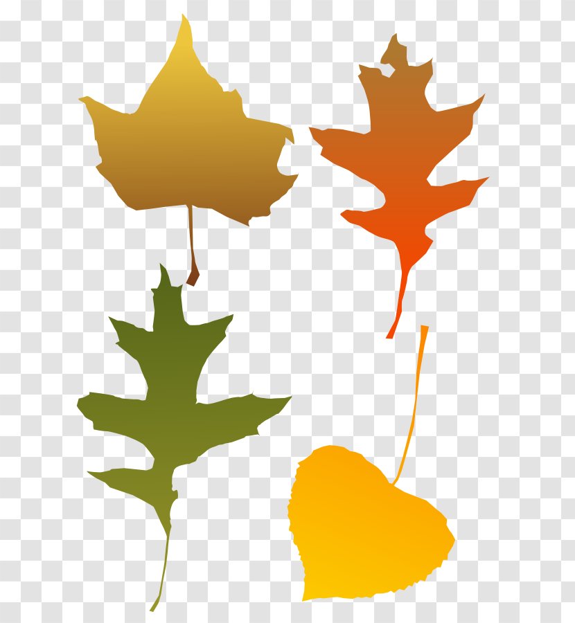 Autumn Leaf Color Clip Art - Orange - Fall Vector Transparent PNG