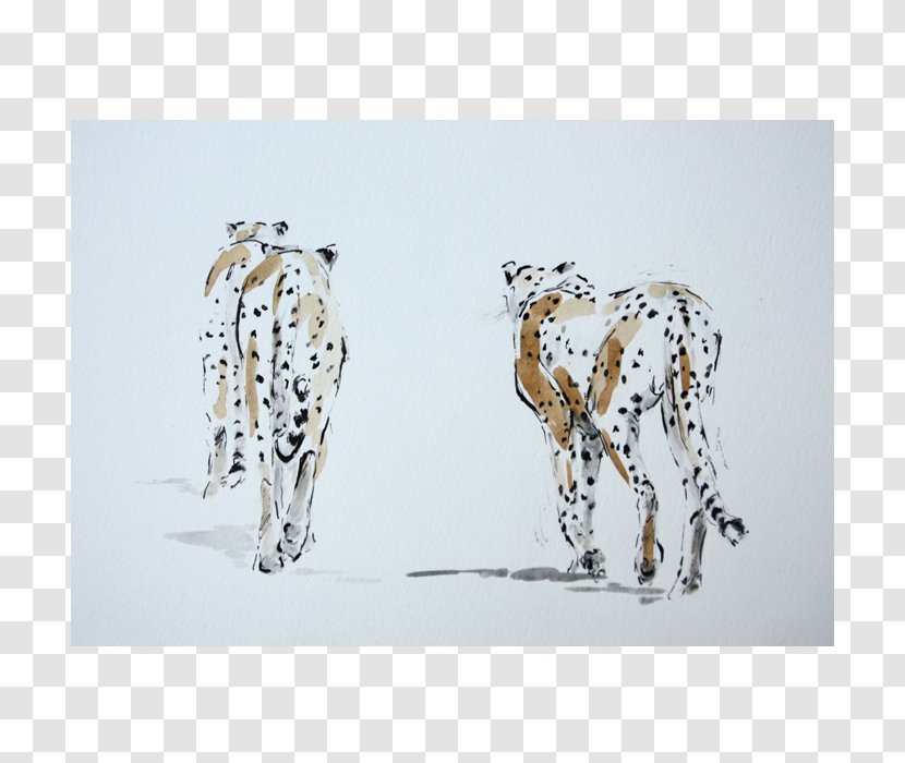 Dalmatian Dog Giraffe Art Drawing Wildlife Transparent PNG