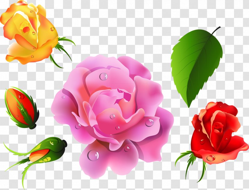 Flower Rose Desktop Wallpaper Clip Art - Pink - Rosas Transparent PNG