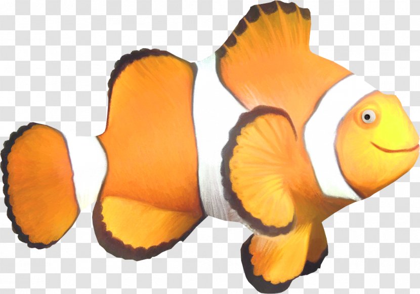 Shark Tropical Fish Clownfish - Tail Transparent PNG