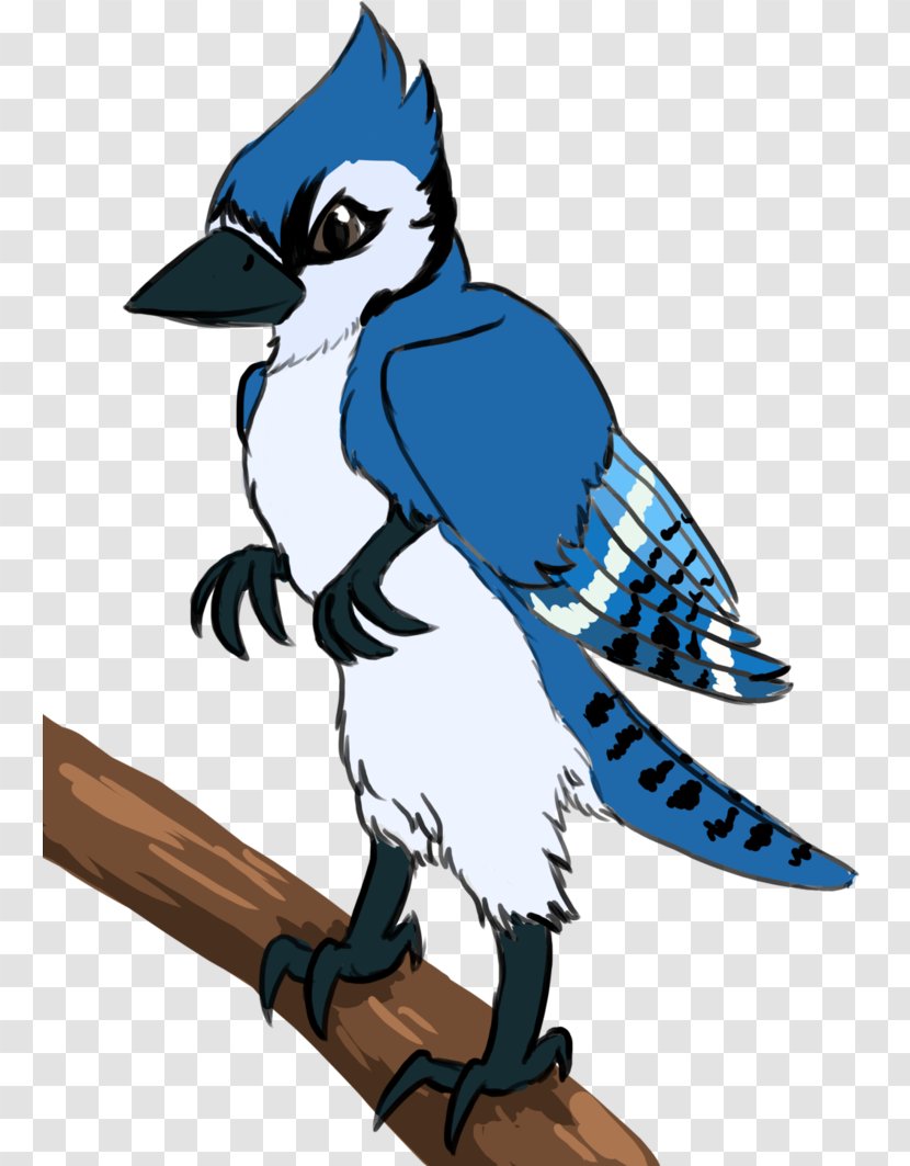 Blue Jay Art Feather Character Clip - Bird Transparent PNG