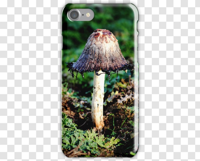 Mushroom - Grass Transparent PNG