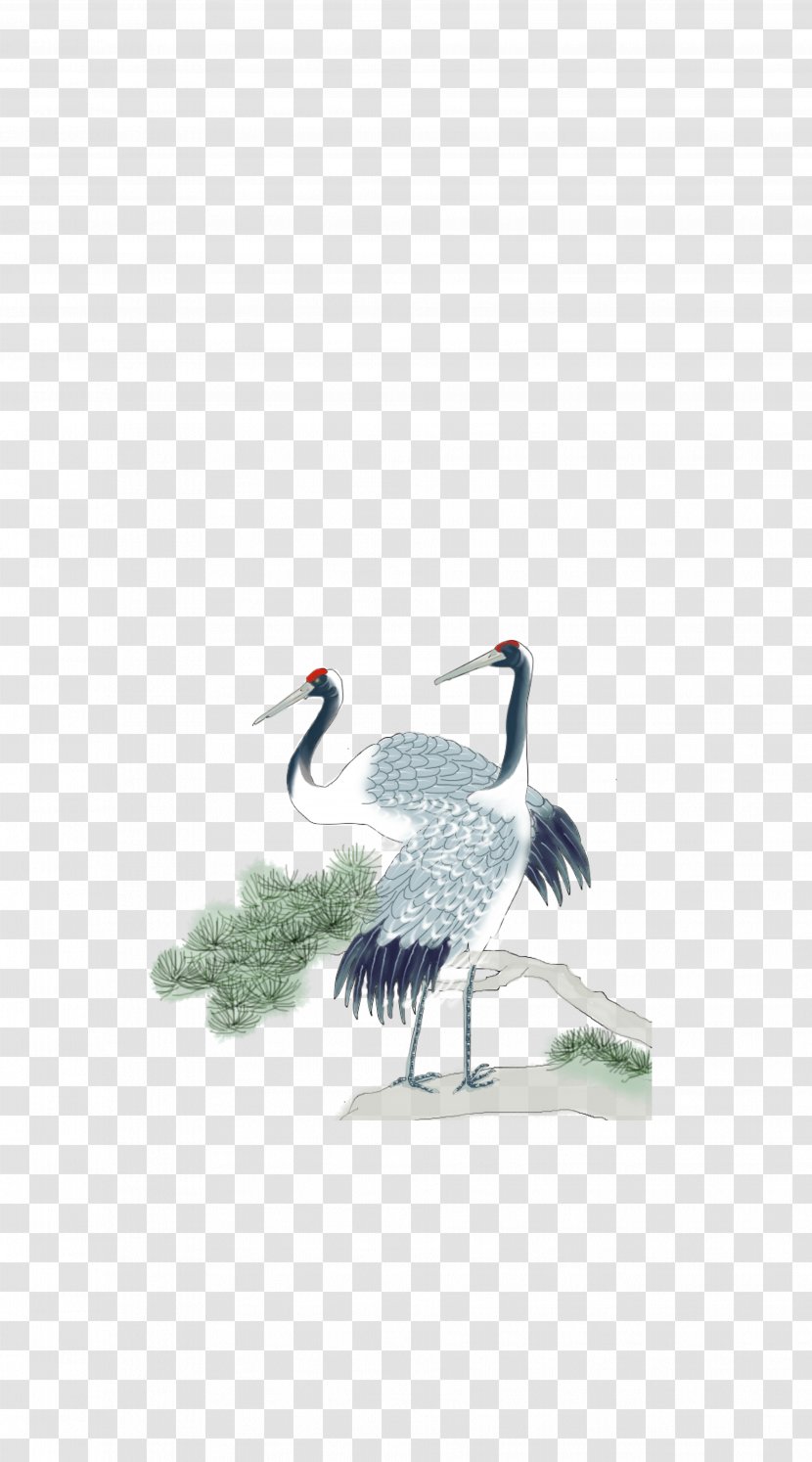 Red-crowned Crane Turtle Bird - Feather - Two Red Top Transparent PNG