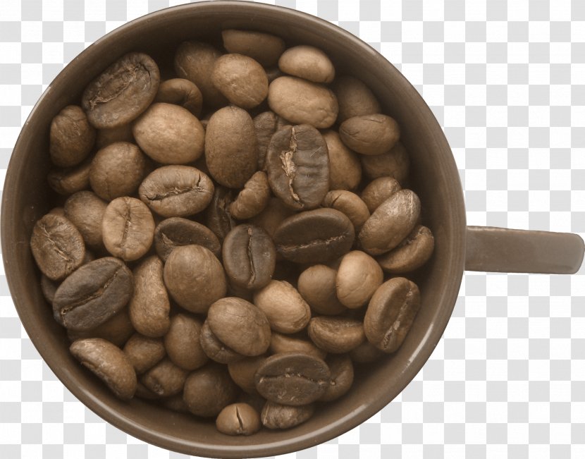 Coffee Bean Clip Art - Cup - Quality Beans Transparent PNG