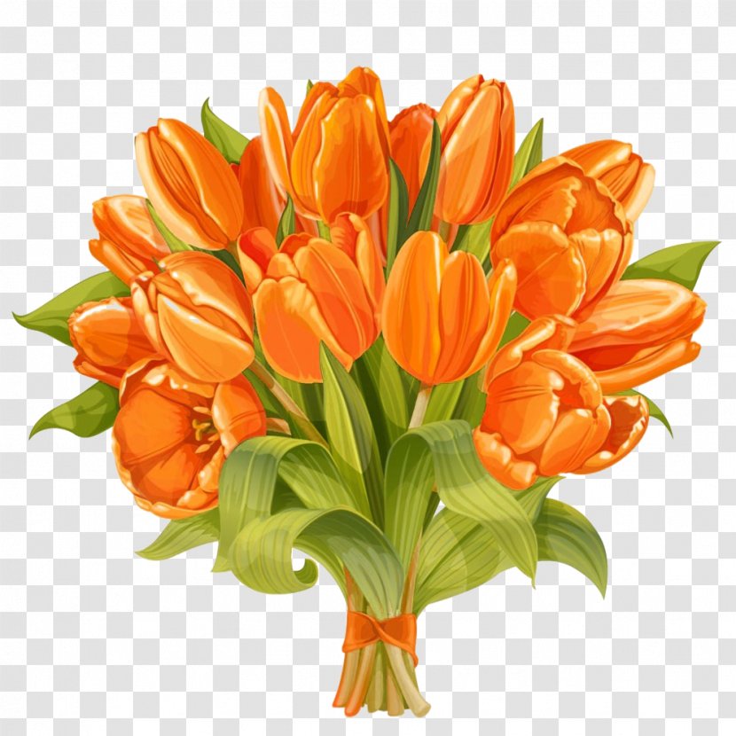 Floral Design Tulip Flower Bouquet - Nosegay - Warm Picture Material Transparent PNG