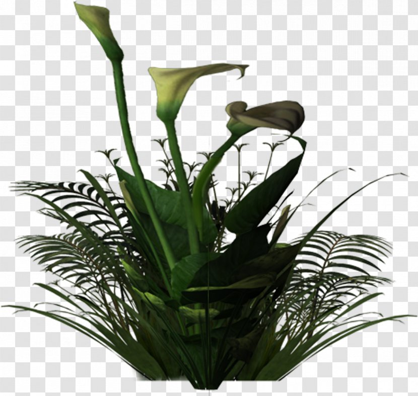 Floral Design Flowerpot Cut Flowers Plant Stem Houseplant - Leaf Transparent PNG
