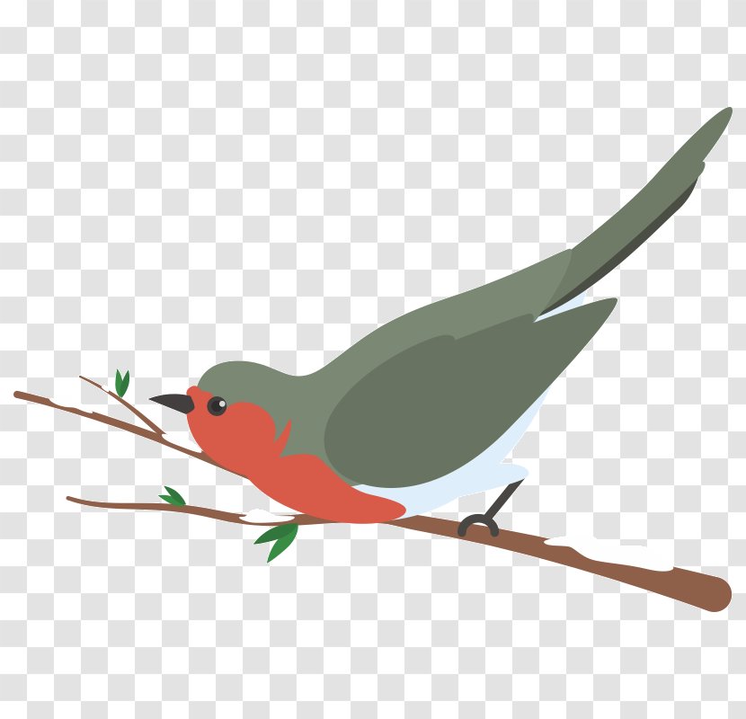 Vector Graphics Bird Image Illustration - Feather Transparent PNG