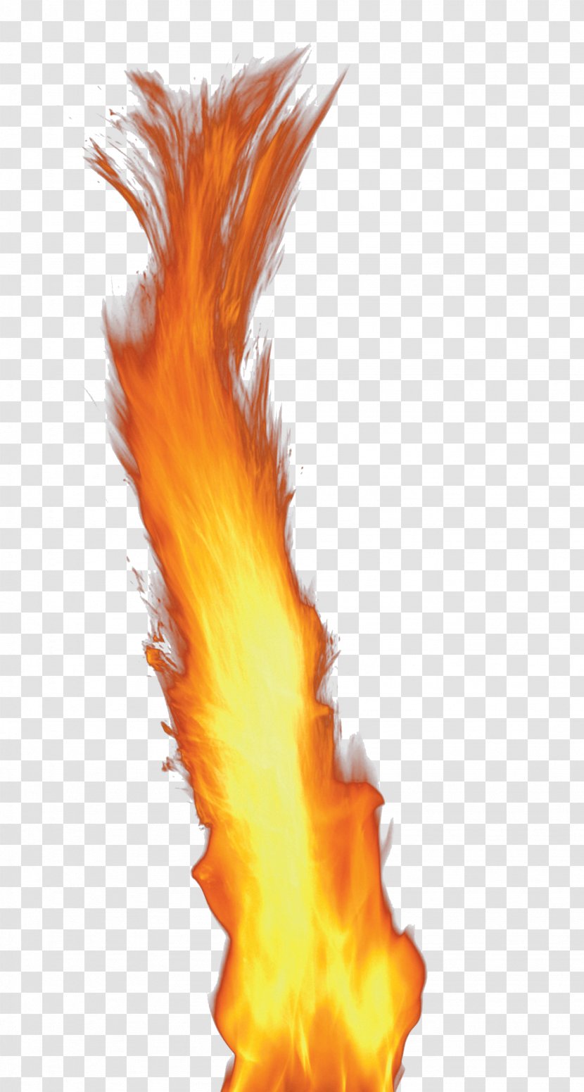 Flame Fire Light Clip Art - Wing - Image Transparent PNG