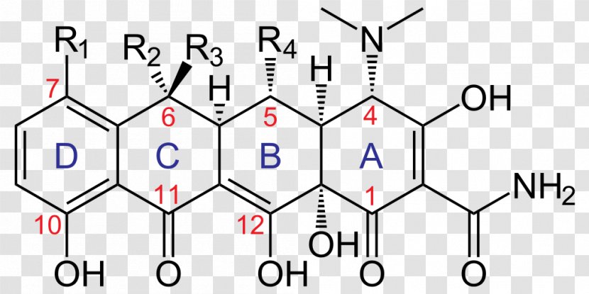 Tetracycline Antibiotics Aztreonam - Cartoon - ABCD Transparent PNG