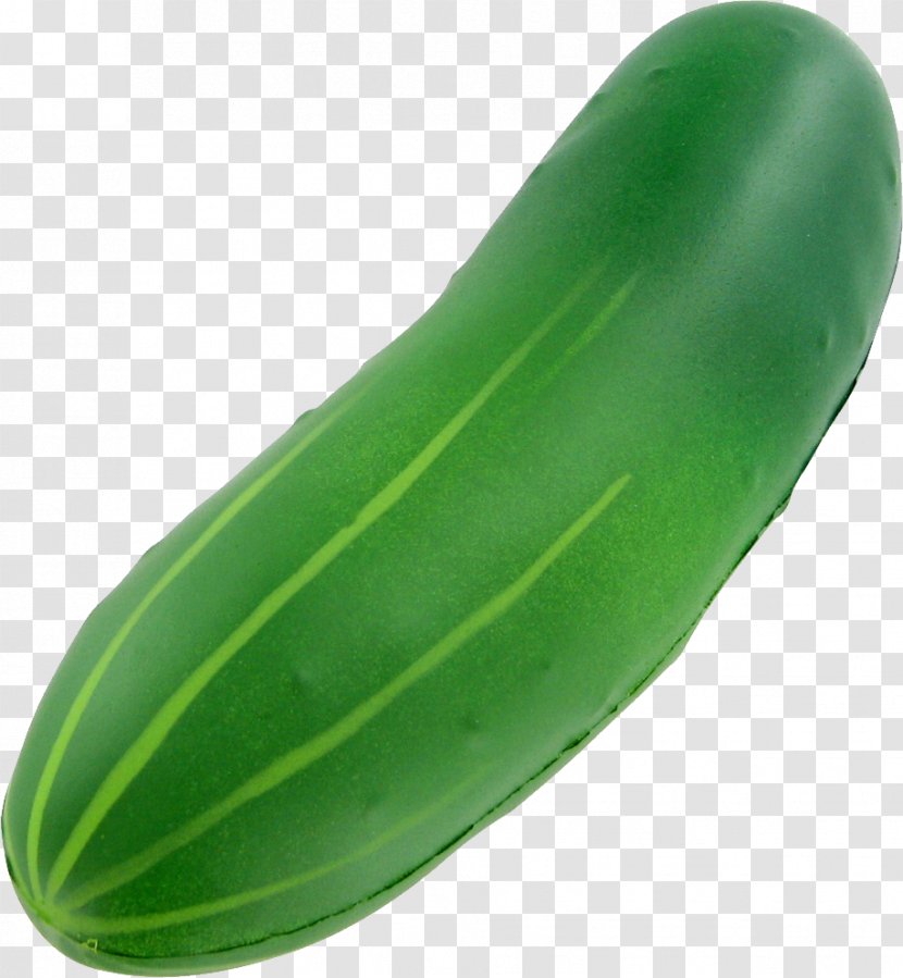 Pickled Cucumber Vegetable Food - Gourd Order - Green Transparent PNG