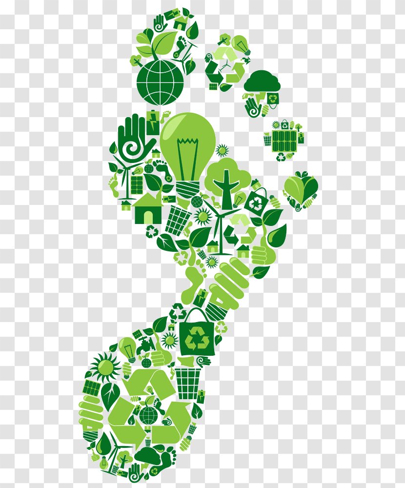 Carbon Footprint Sustainability Natural Environment Neutrality Ecological - Tree - Footprints Transparent PNG