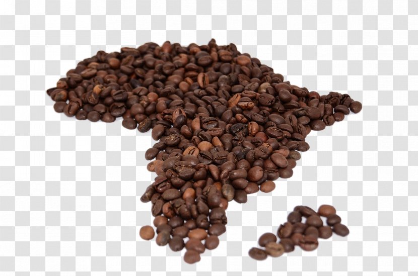 Coffee Roasting Africa Cafe Drink - Superfood - HD Beans Transparent PNG