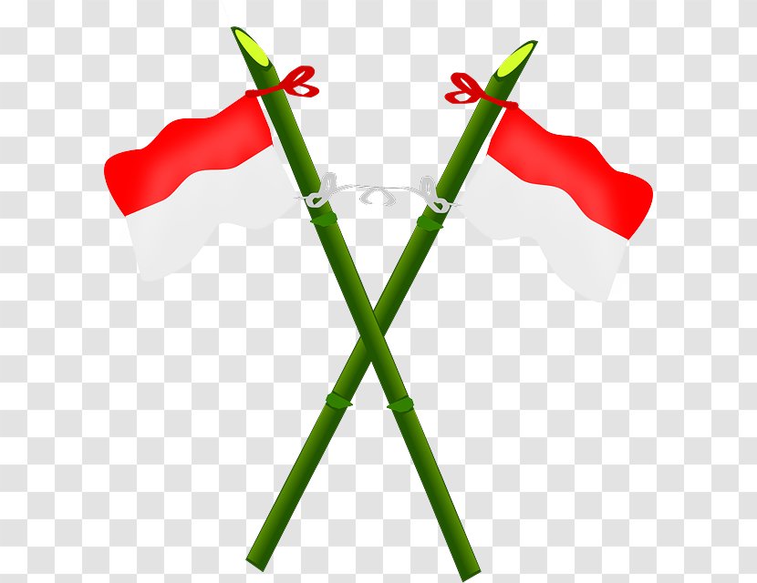 Flag Of Indonesia Clip Art Indonesian National Revolution - Grass Transparent PNG